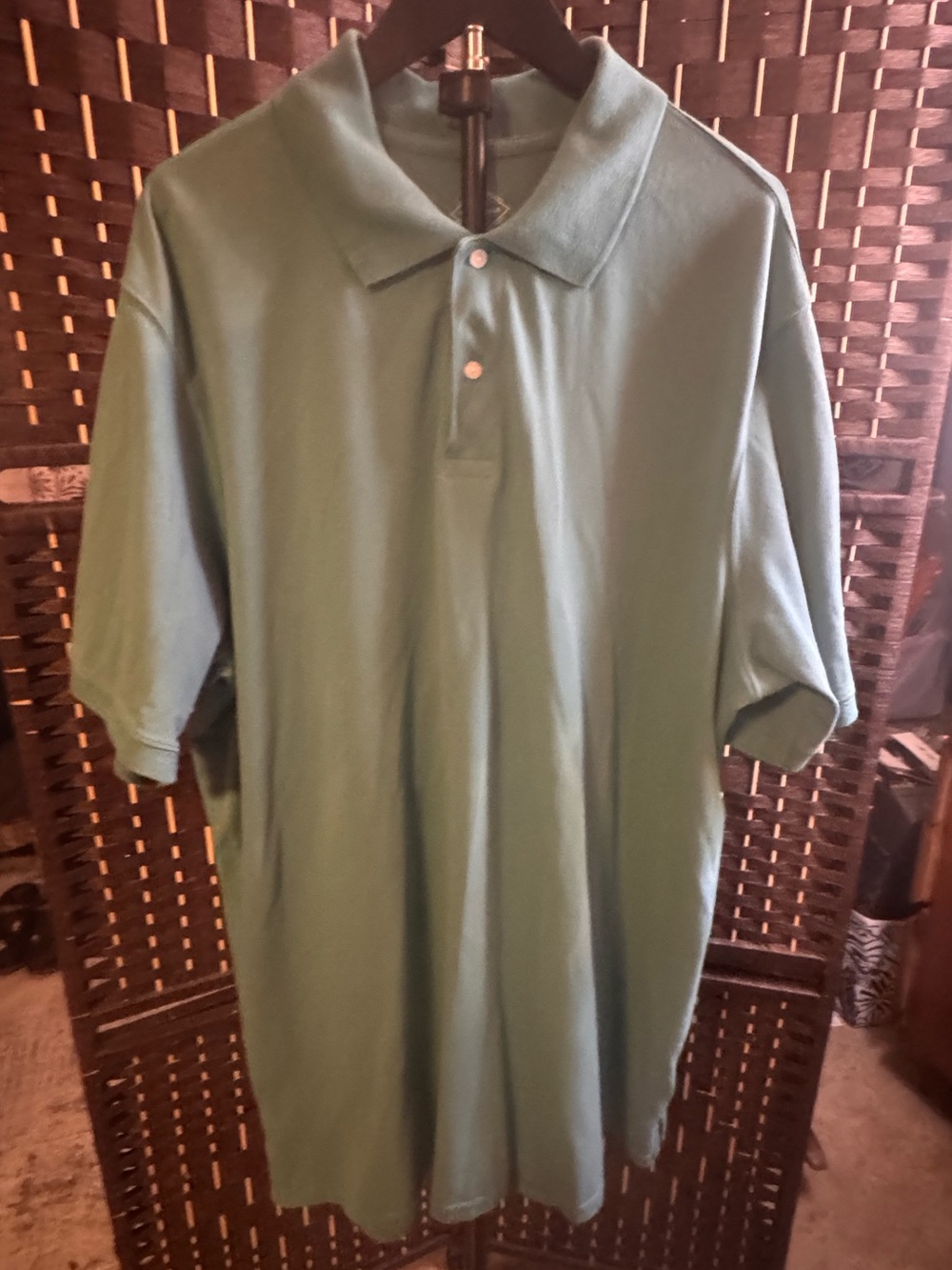 St. John's Bay Men's Polo in Sage Green